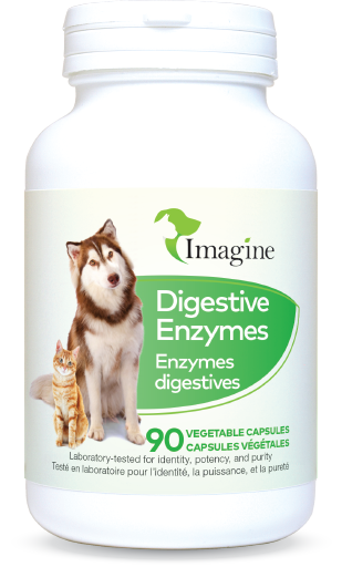 Digestive Enzymes/ imagine pet products
