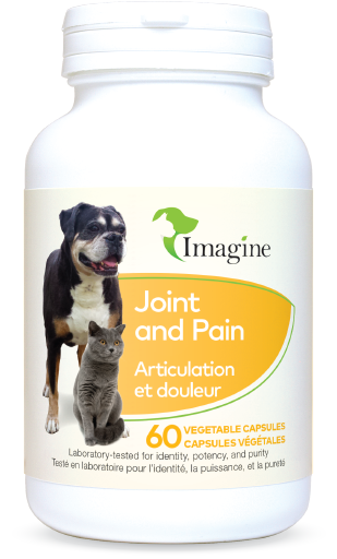 Joint and Pain/ imagine pet products